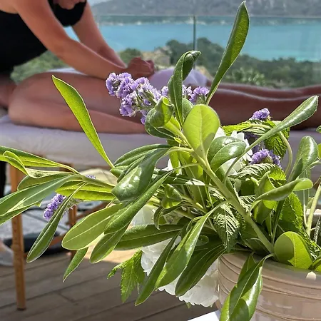 فندق Carre Noir بورتو فيكشْيو